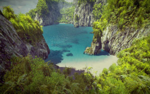 Environment  e