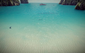 Environment