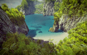 Environment  e