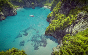 Environment   e