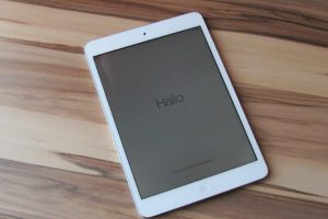 apple   e