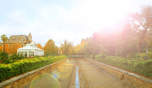 lens flare objective